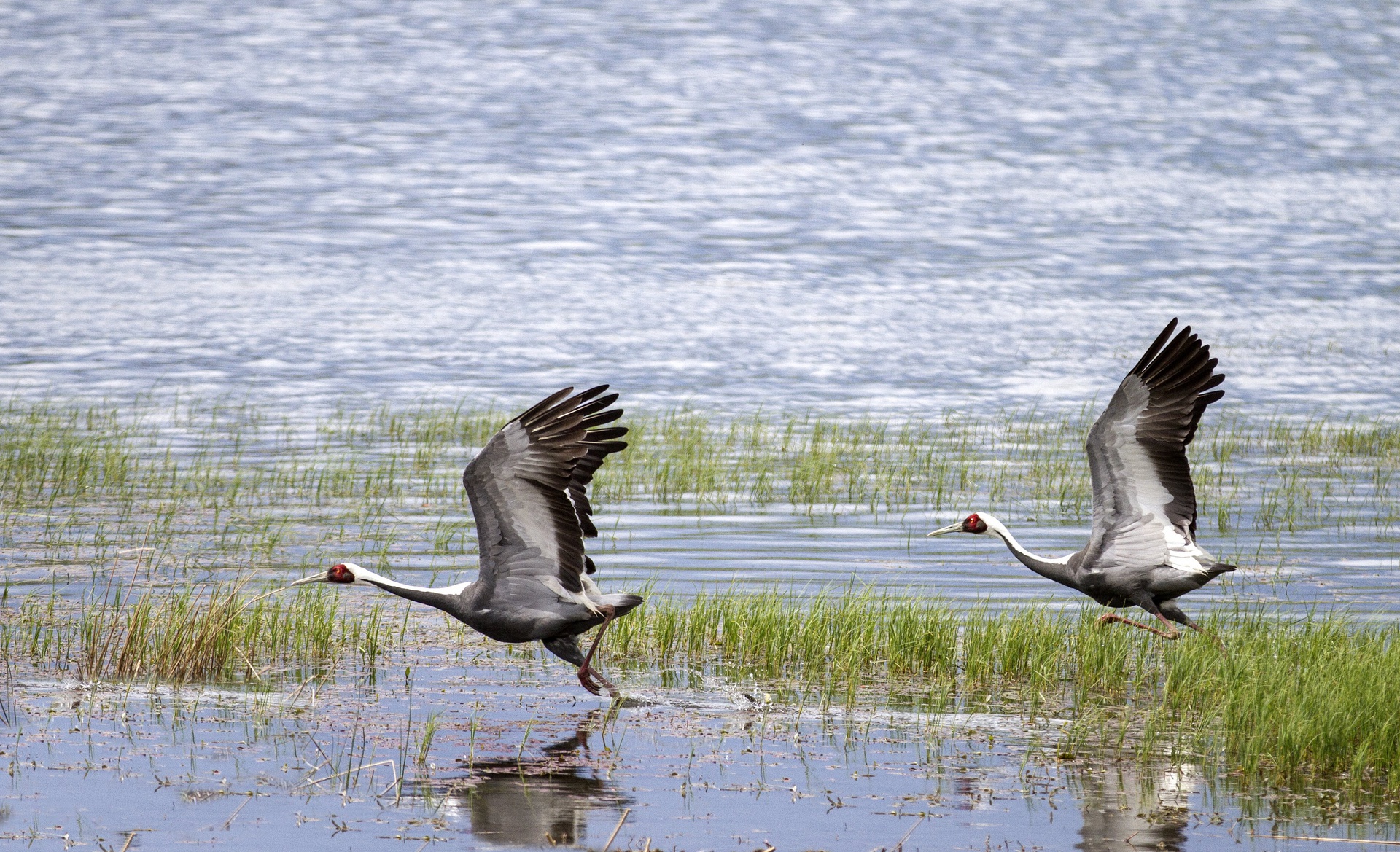 Gun Galuut Nature Reserve